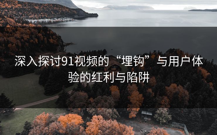 深入探讨91视频的“埋钩”与用户体验的红利与陷阱