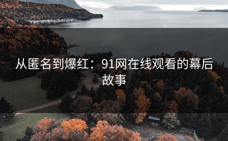 从匿名到爆红：91网在线观看的幕后故事