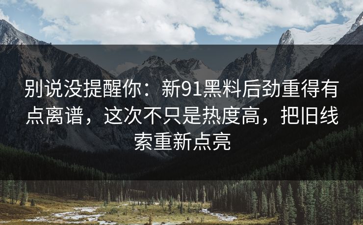 别说没提醒你：新91黑料后劲重得有点离谱，这次不只是热度高，把旧线索重新点亮