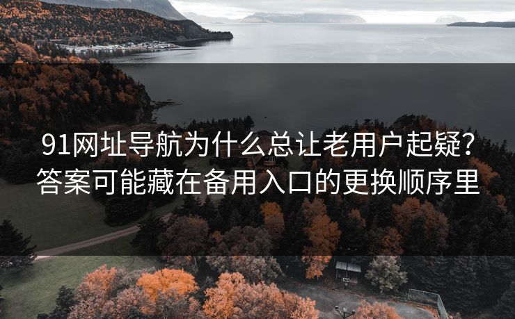 91网址导航为什么总让老用户起疑?答案可能藏在备用入口的更换顺序里 91网址导航为什么总让老用户起疑?答案可能藏在备用入口的更换顺序里