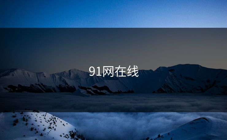 91网在线 91网在线