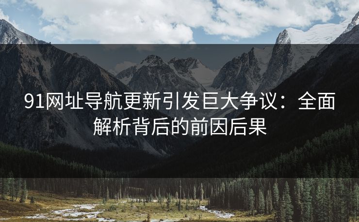 91网址导航更新引发巨大争议：全面解析背后的前因后果