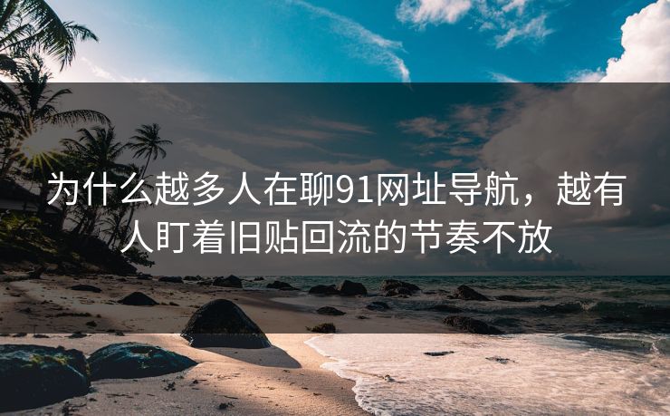 为什么越多人在聊91网址导航，越有人盯着旧贴回流的节奏不放