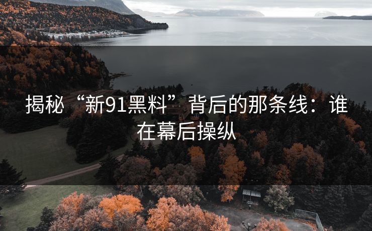 揭秘“新91黑料”背后的那条线：谁在幕后操纵
