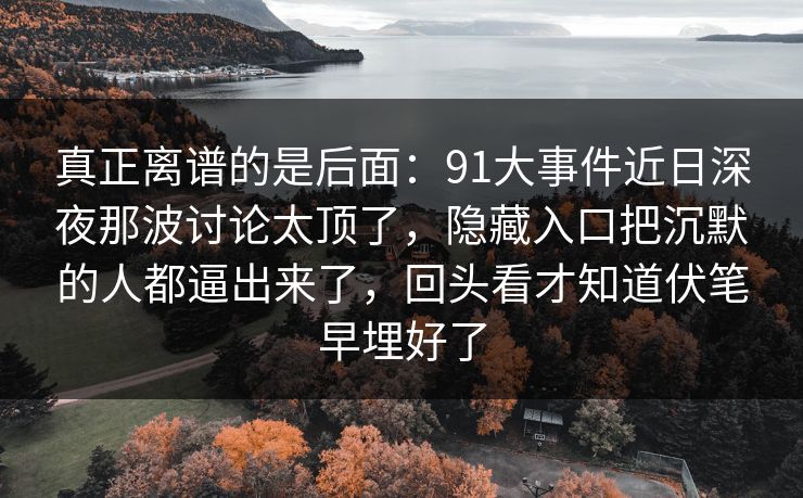 真正离谱的是后面：91大事件近日深夜那波讨论太顶了，隐藏入口把沉默的人都逼出来了，回头看才知道伏笔早埋好了