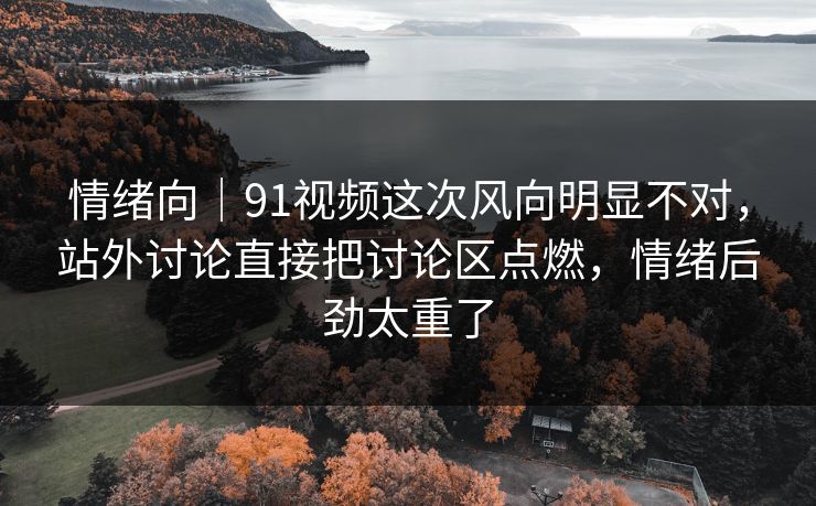 情绪向｜91视频这次风向明显不对，站外讨论直接把讨论区点燃，情绪后劲太重了