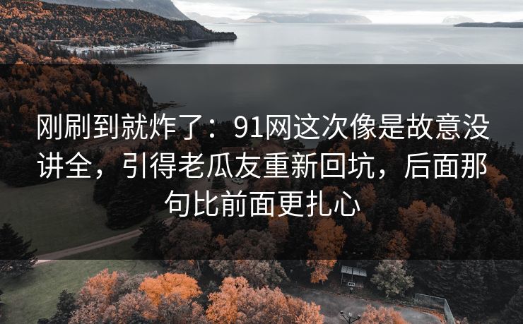 刚刷到就炸了：91网这次像是故意没讲全，引得老瓜友重新回坑，后面那句比前面更扎心