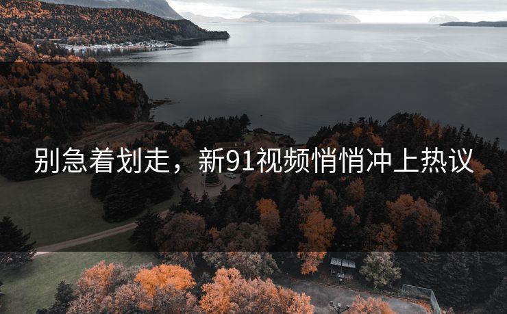 别急着划走，新91视频悄悄冲上热议