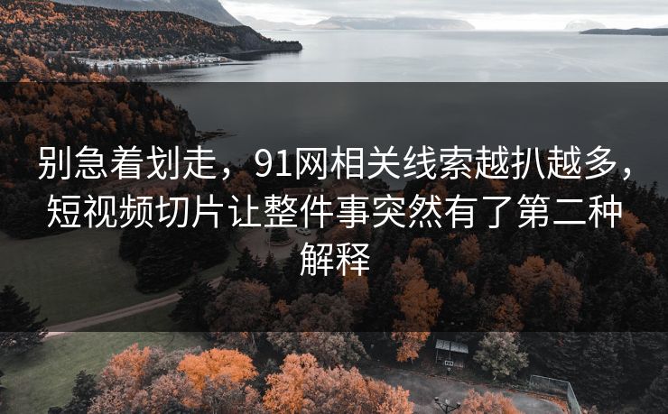 别急着划走，91网相关线索越扒越多，短视频切片让整件事突然有了第二种解释